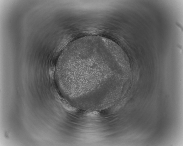 X0000099300576200805301136