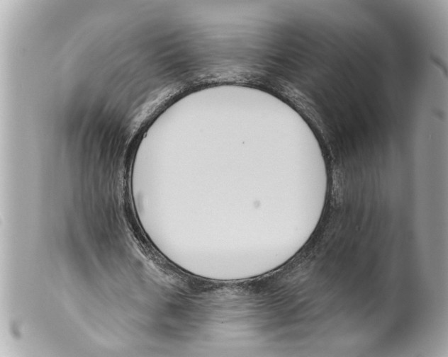 X0000099300578200805301135