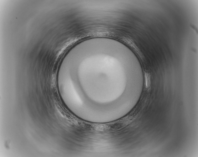 X0000099300579200805301135