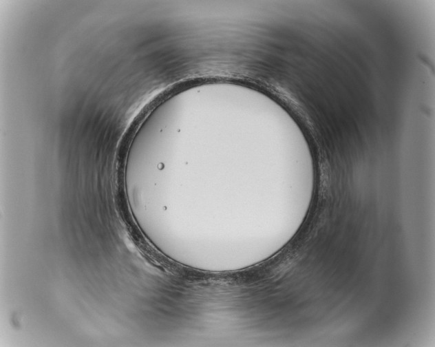 X0000099300580200805301135