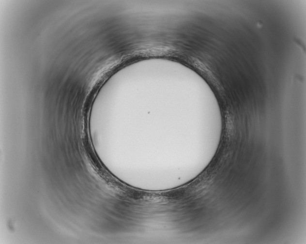 X0000099300582200805301135