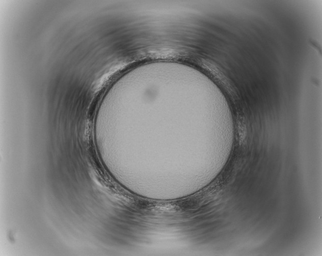 X0000099300583200805301135