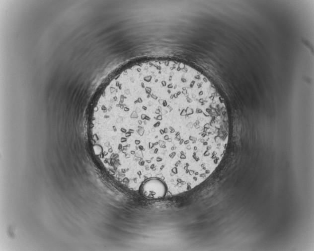 X0000099300584200805301135