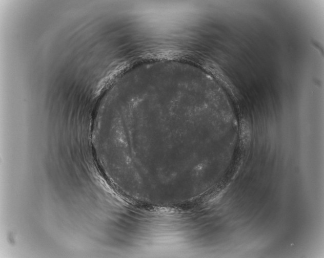 X0000099300585200805301135