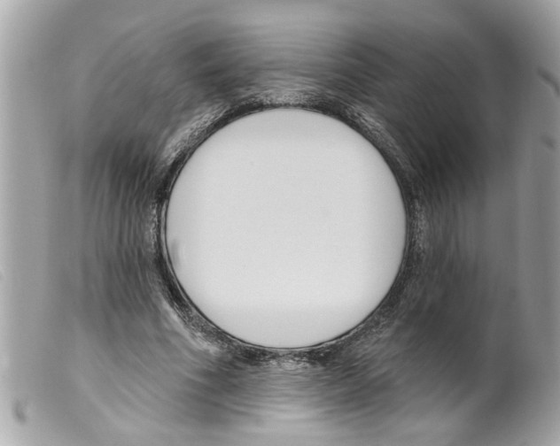 X0000099300586200805301135