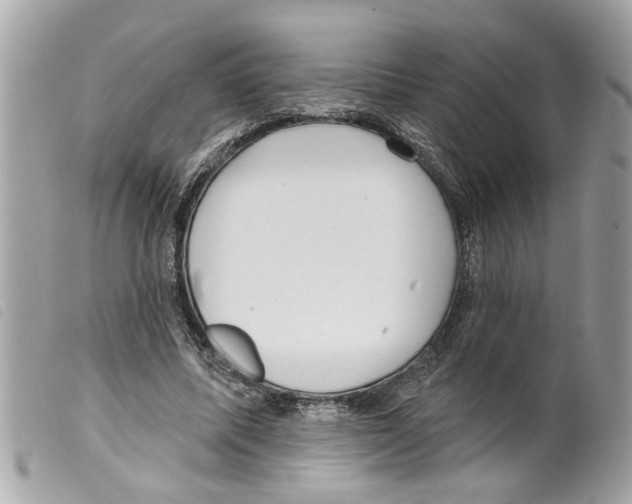 X0000099300587200805301135