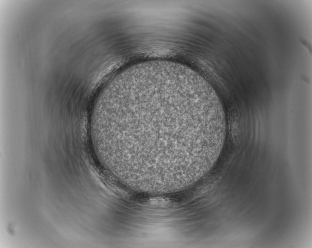 X0000099300591200805301135