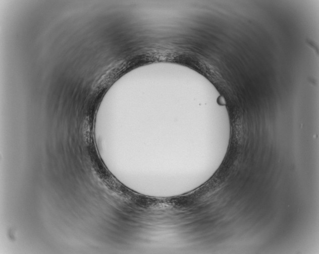 X0000099300594200805301135