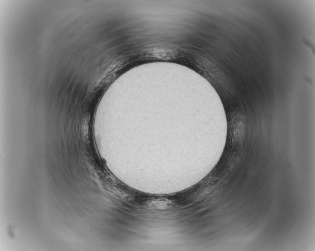X0000099300595200805301135