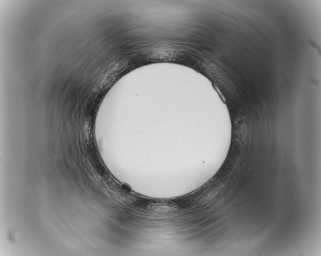 X0000099300597200805301135