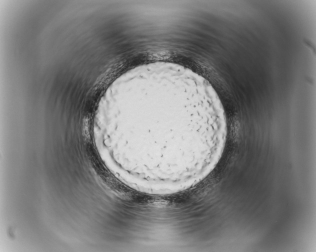 X0000099300598200805301135