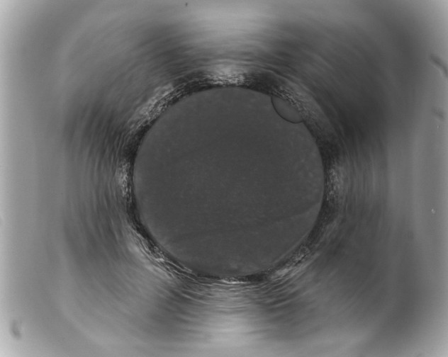 X0000099300600200805301135