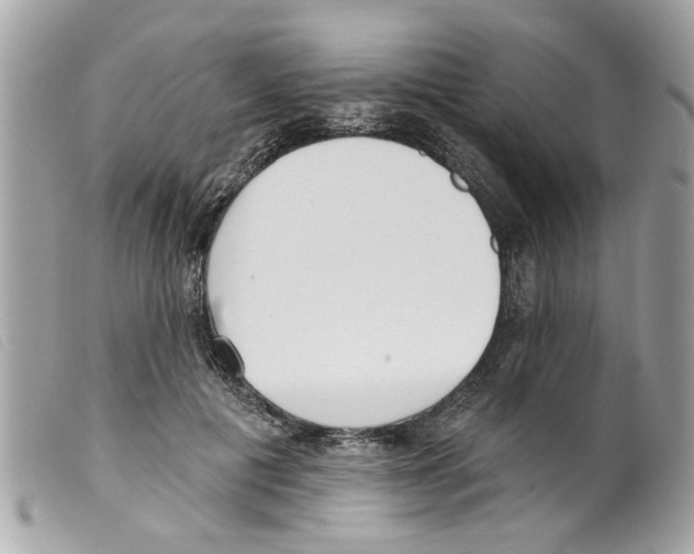 X0000099300601200805301135