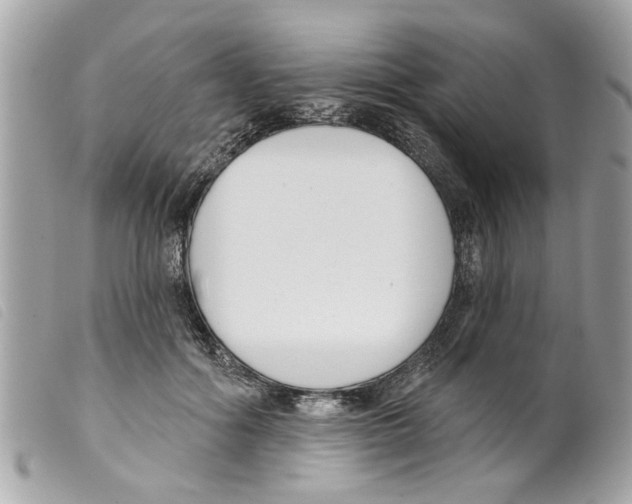 X0000099300602200805301135