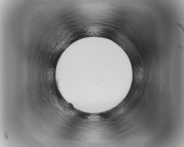 X0000099300603200805301135