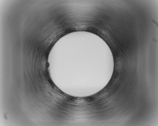 X0000099300604200805301135
