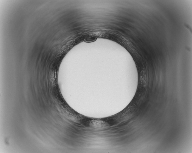 X0000099300605200805301135