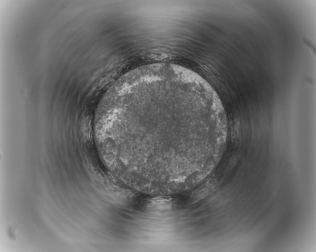 X0000099300606200805301135