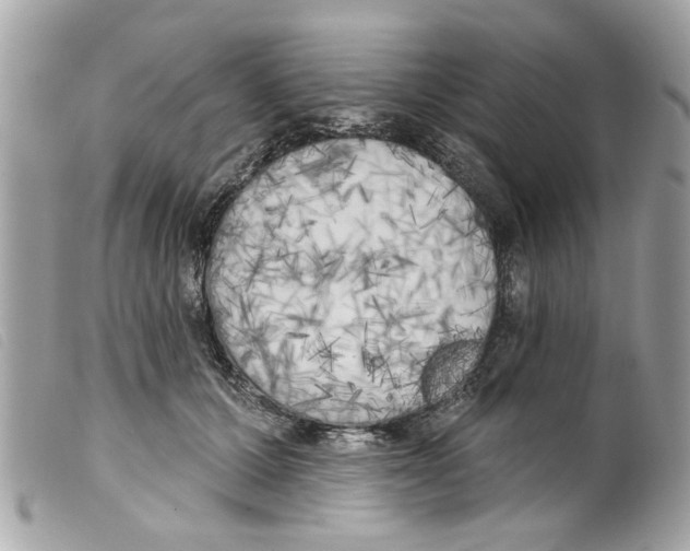 X0000099300607200805301135