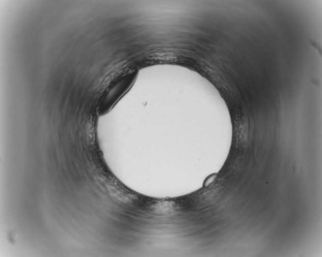 X0000099300609200805301135