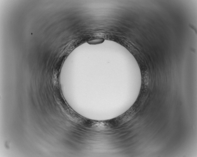 X0000099300611200805301135