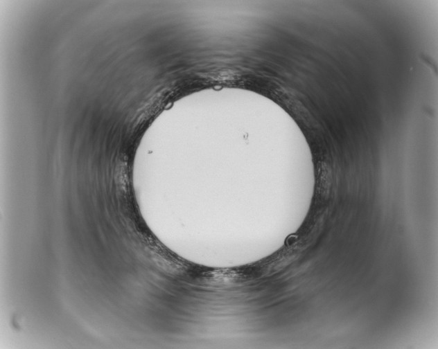 X0000099300612200805301135