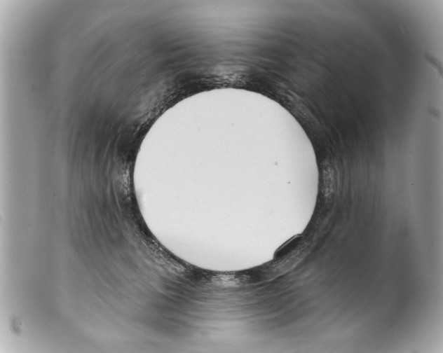 X0000099300613200805301135
