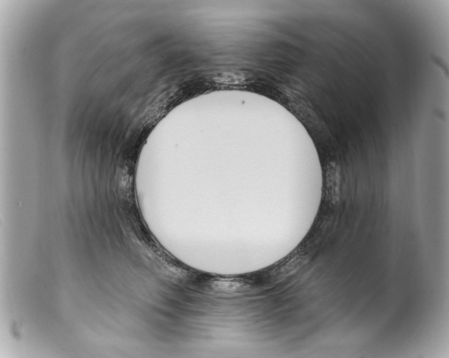 X0000099300614200805301135