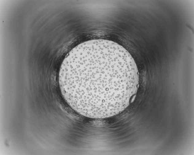 X0000099300615200805301135