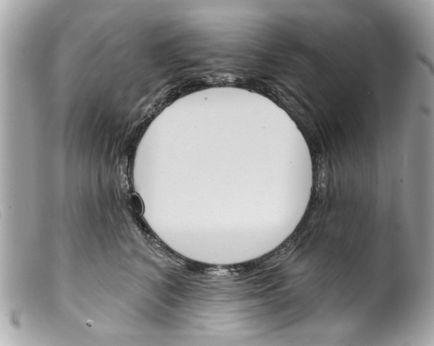 X0000099300616200805301134