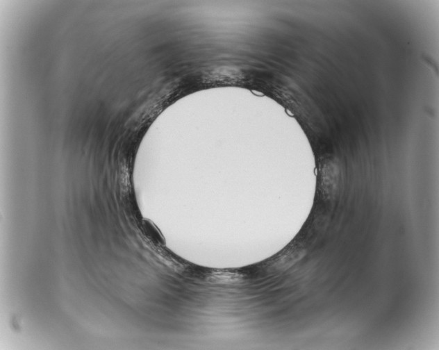 X0000099300617200805301134