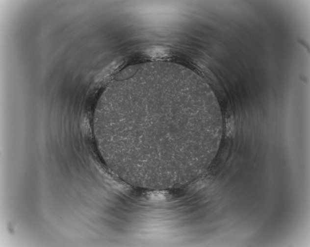 X0000099300618200805301134
