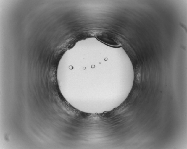 X0000099300620200805301134