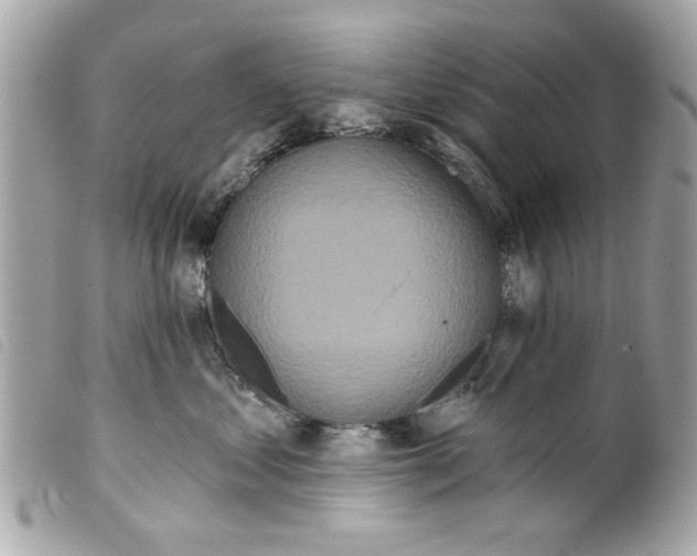 X0000099300621200805301134