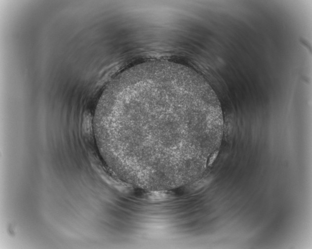 X0000099300623200805301134