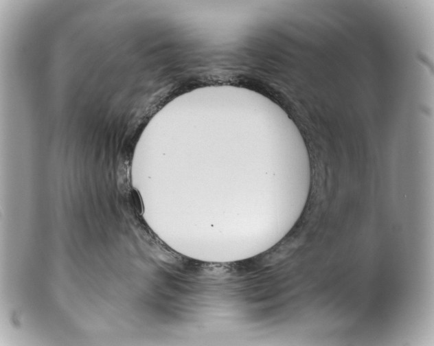 X0000099300624200805301134