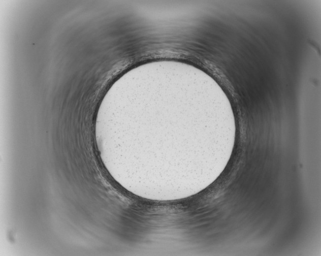 X0000099300625200805301134