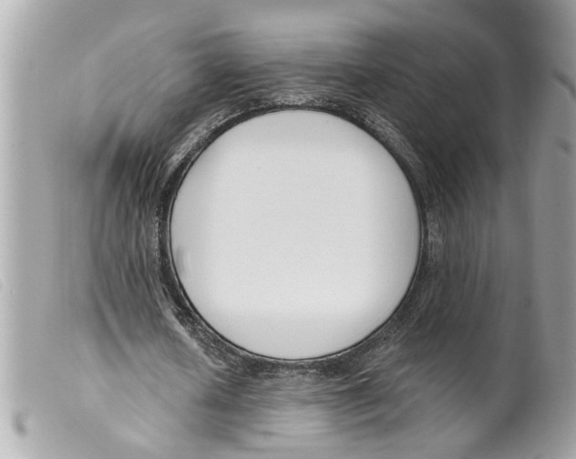 X0000099300626200805301134
