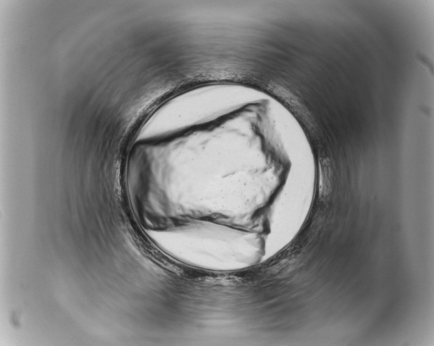 X0000099300627200805301134