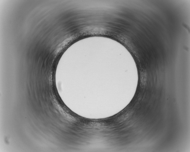 X0000099300629200805301134