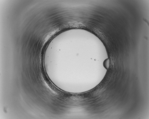 X0000099300630200805301134