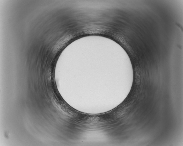 X0000099300631200805301134