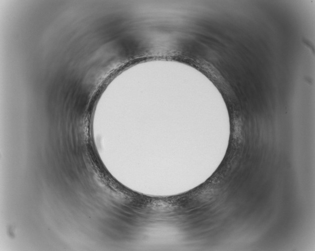 X0000099300632200805301134