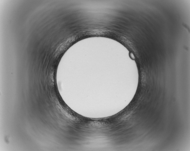 X0000099300633200805301134