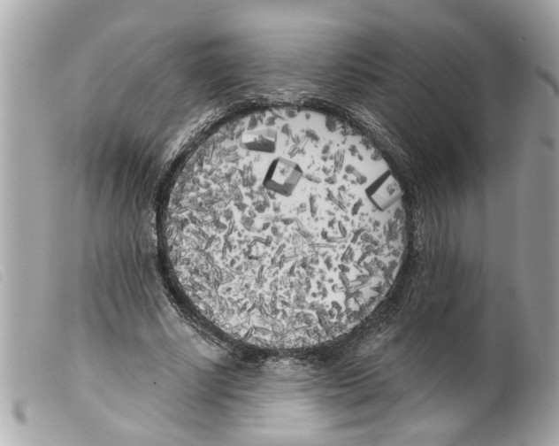X0000099300634200805301134