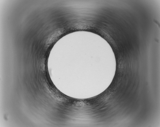 X0000099300635200805301134