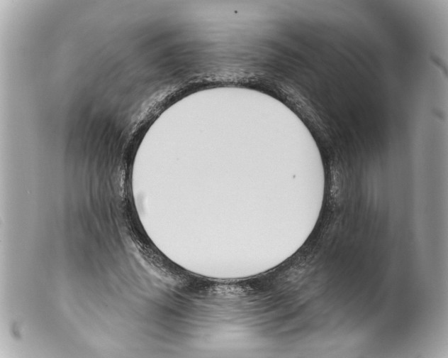 X0000099300636200805301134
