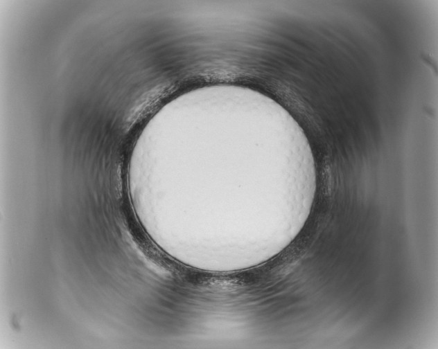 X0000099300638200805301134