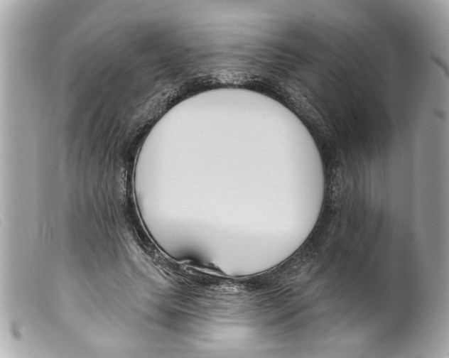 X0000099300639200805301134