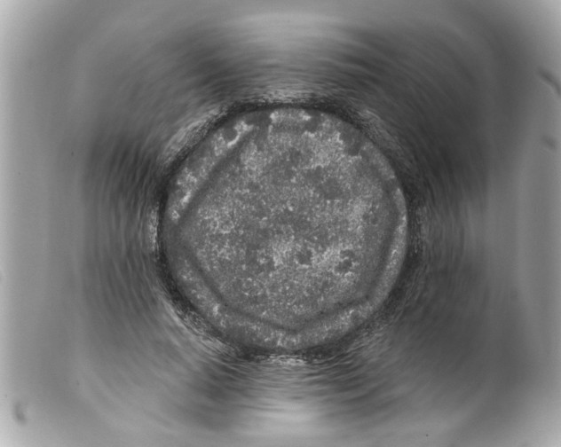 X0000099300640200805301134